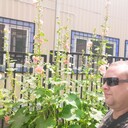 ���������� ������, ���� ������� ����, 39 ���, ������������ ��� ������, ����� � ���������