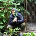 ���������� �����-���������, ���� ������� �������, 29 ���, ������������ 