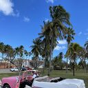 ���������� ����, ���� ����� ����, 25 ���, ������������ ��� ������, ����� � ���������