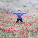 ���������� ������, ���� ������� Black Wolf, 34 ����, ������������ ��� ����� � ���������, c�������� ���������, ���������