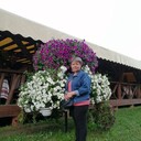 ���������� ����, ���� ������� ��������, 52 ����, ������������ ��� ������, ����� � ���������, c�������� ���������