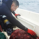 ���������� ������, ���� ������� ����, 30 ���, ������������ ��� ������, ����� � ���������, c�������� ���������