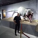 ���������� �������, ���� ������� �����, 42 ����, ������������ ��� ������, ����� � ���������, c�������� ���������