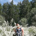 ���������� �����-���������, ���� ������� ��������, 41 ���, ������������ ��� ������, ����� � ���������, c�������� ���������