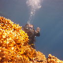 ���������� �������, ���� ������� Valer4eg, 42 ����, ������������ ��� ������, ����� � ���������, c�������� ���������