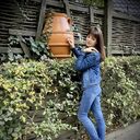 ���������� ������, ���� ������� �����, 39 ���, ������������ ��� ����� � ���������, c�������� ���������