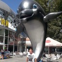  ,   , 44 ,   ,   , c 