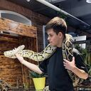  ,   , 22 ,   ,   , c 