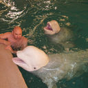 ���������� ������, ���� ������� ������, 49 ���, ������������ ��� ������, ����� � ���������, c�������� ���������