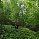 ���������� ��������, ���� ������� �������, 37 ���, ������������ ��� ������, ����� � ���������