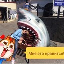 ���������� �����������, ���� ������� Nessik, 40 ���, ������������ ��� ����� � ���������, c�������� ���������