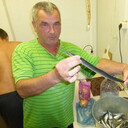  ,   , 60 ,   ,   
