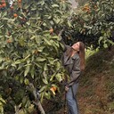 ���������� ������, ���� ������� ����, 28 ���, ������������ ��� ������, ����� � ���������, c�������� ���������