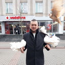  ,   Vitalik, 41 ,   , 