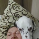 ���������� �����-���������, ���� ������� �������, 40 ���, ������������ ��� ����� � ���������, c�������� ���������