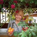 ���������� �����, ���� ������� �������, 63 ����, ������������ ��� ����� � ���������, c�������� ���������