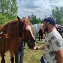  ,   , 35 ,   ,   , c 