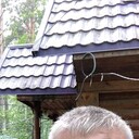 ���������� �����������, ���� ������� ������, 50 ���, ������������ ��� ������, ����� � ���������