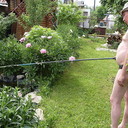  ,   , 62 ,   