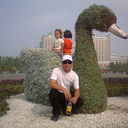  ,   , 55 ,  