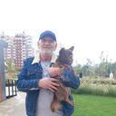 ���������� ���������, ���� ������� ��, 62 ����, ������������ ��� ���������