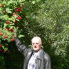  ,   , 80 ,  
