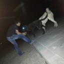  --,   Vahram, 31 ,   ,   , c 