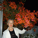 ���������� �������, ���� ������� ����, 69 ���, ������������ ��� c�������� ���������, ���������