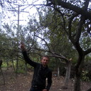 ���������� �����, ���� ������� ����, 41 ���, ������������ ��� ������, ����� � ���������, c�������� ���������