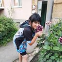 ���������� �����������, ���� ������� ������, 41 ���, ������������ ��� c�������� ���������