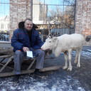 ���������� ������, ���� ������� �����, 45 ���, ������������ ��� ������, ����� � ���������, c�������� ���������