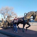 ���������� ���������, ���� ������� ����������, 36 ���, ������������ ��� c�������� ���������