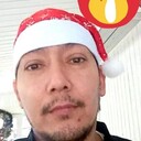  ,   BRAND CHEFF, 43 ,   ,   , c , 
