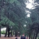 ���������� �����, ���� ������� ����, 32 ����, ������������ ��� ������, ����� � ���������