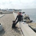 ���������� �����������, ���� ������� ������, 48 ���, ������������ ��� c�������� ���������