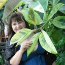 ���������� �����-���������, ���� ������� �������, 40 ���, ������������ ��� ������, ����� � ���������, c�������� ���������