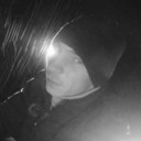 ���������� �����, ���� ������� ������, 34 ����, ������������ ��� ������, ����� � ���������, ���������