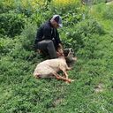  ,   Araz, 58 ,   ,   
