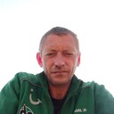  ,   , 51 ,     , c , 