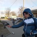 ���������� �������, ���� ������� �����, 33 ����, ������������ ��� ������, ����� � ���������, c�������� ���������