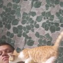  -,   , 29 ,   ,   , c 