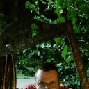 ���������� �������, ���� ������� ������, 46 ���, ������������ ��� ����� � ���������, c�������� ���������