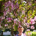  ,   , 58 ,     , c 