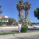 ���������� ������, ���� ������� ������, 45 ���, ������������ ��� ������, ����� � ���������, ���������