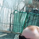 ���������� �����-���������, ���� ������� �������, 39 ���, ������������ ��� ������, ����� � ���������, c�������� ���������