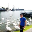  ,   , 33 ,   ,   , c , 