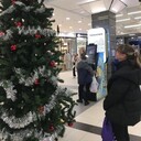 ���������� �����-���������, ���� ������� ���������, 21 ���, ������������ ��� ������, ����� � ���������