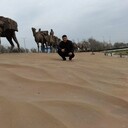 ���������� ������, ���� ������� �����  ���, 43 ����, ������������ ��� ������, ����� � ���������