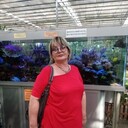  ,   , 55 ,     , c 