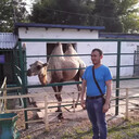 ���������� �����������, ���� ������� ����, 33 ����, ������������ ��� ������, ����� � ���������, c�������� ���������, ���������